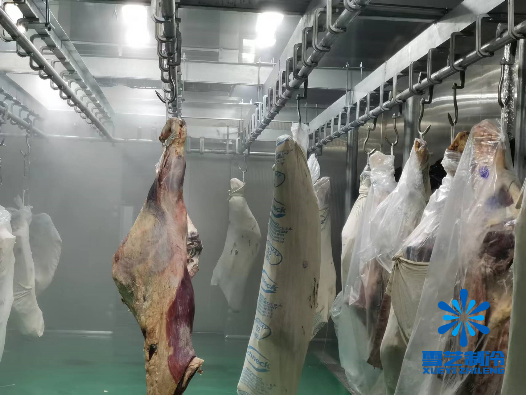 緩化庫，肉類解凍冷庫115.jpg